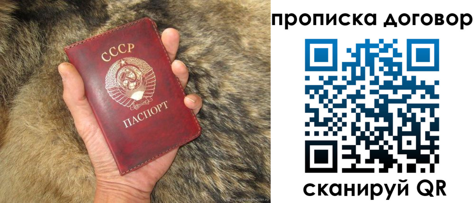 прописка регистрация в Завитинске